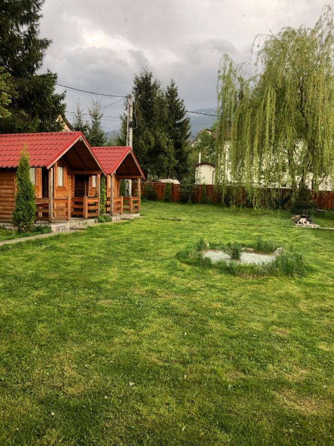 Pensiunea Ioana Borşa Exterior foto